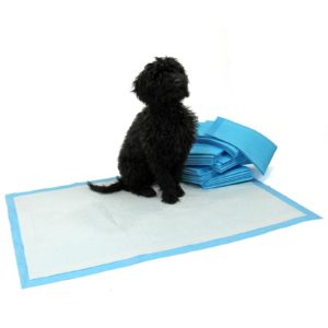 XL Puppy Pads 100pcs 21703