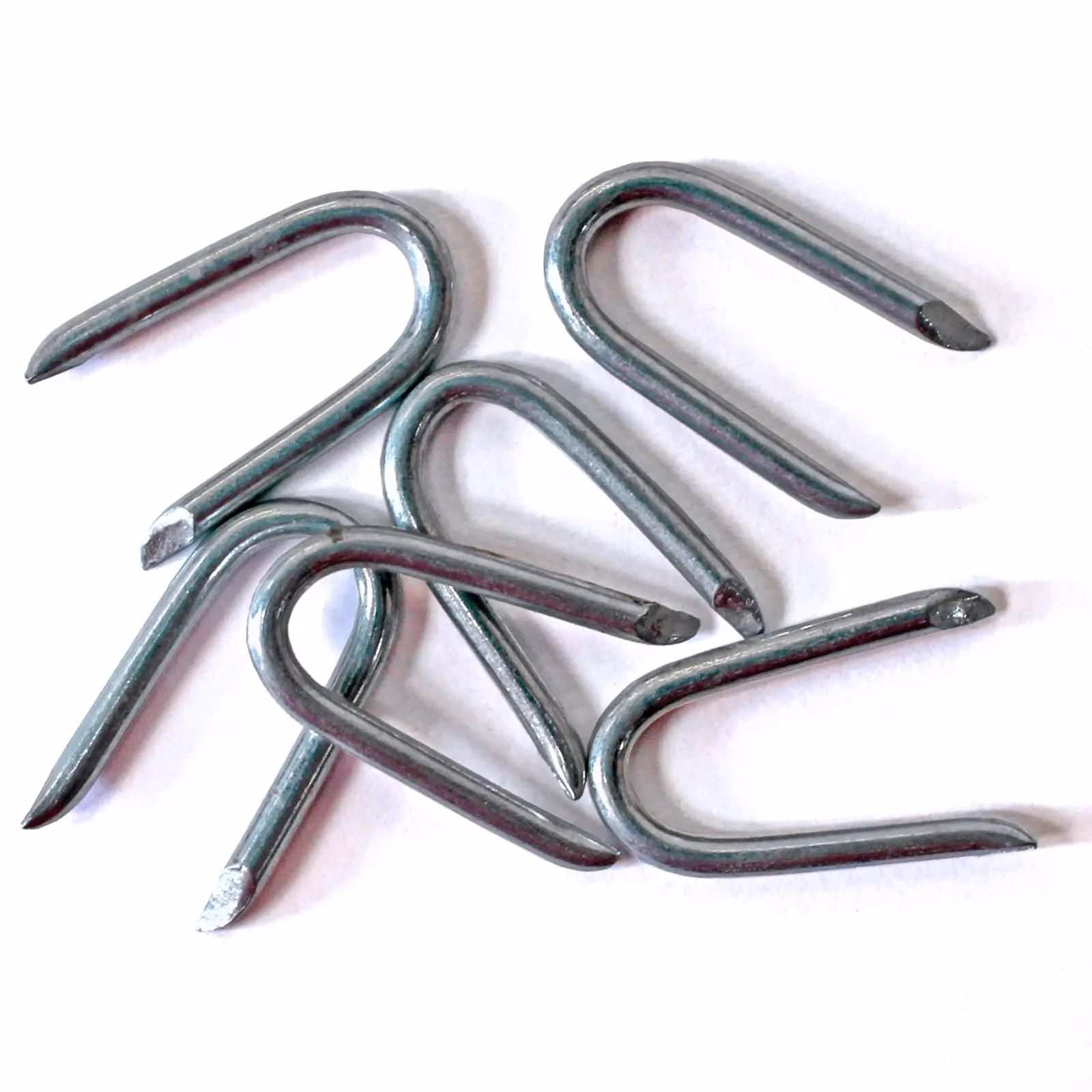 Galvanised U Nails 20mm 25mm Netting Fencing Staples - Image 5