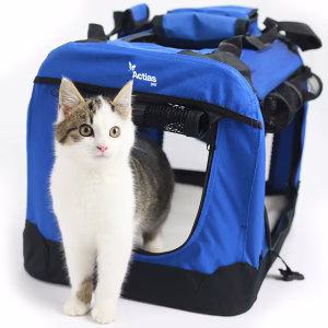Foldable Pet Carrier Blue