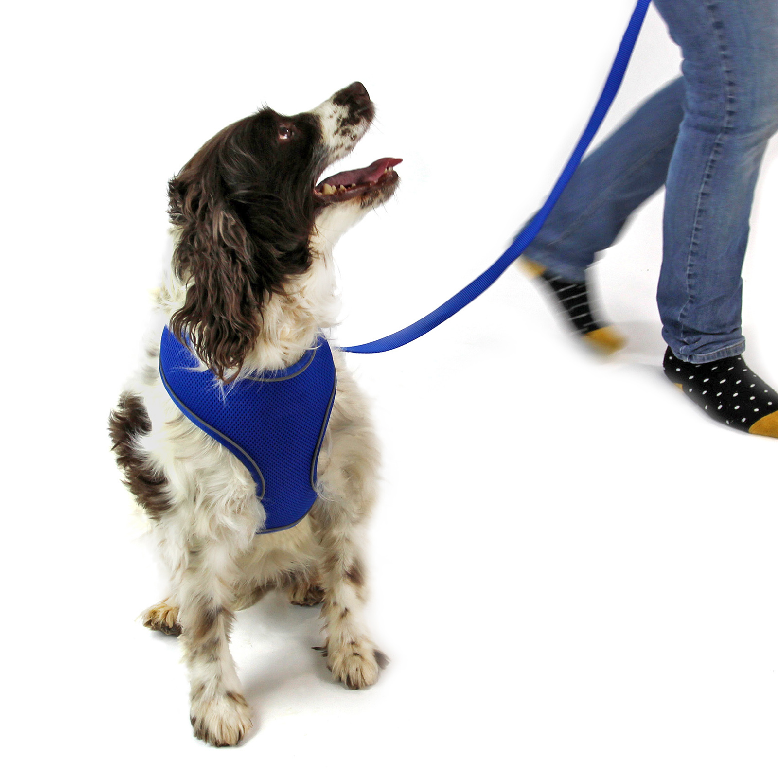 Adjustable Dog Harness - Image 8