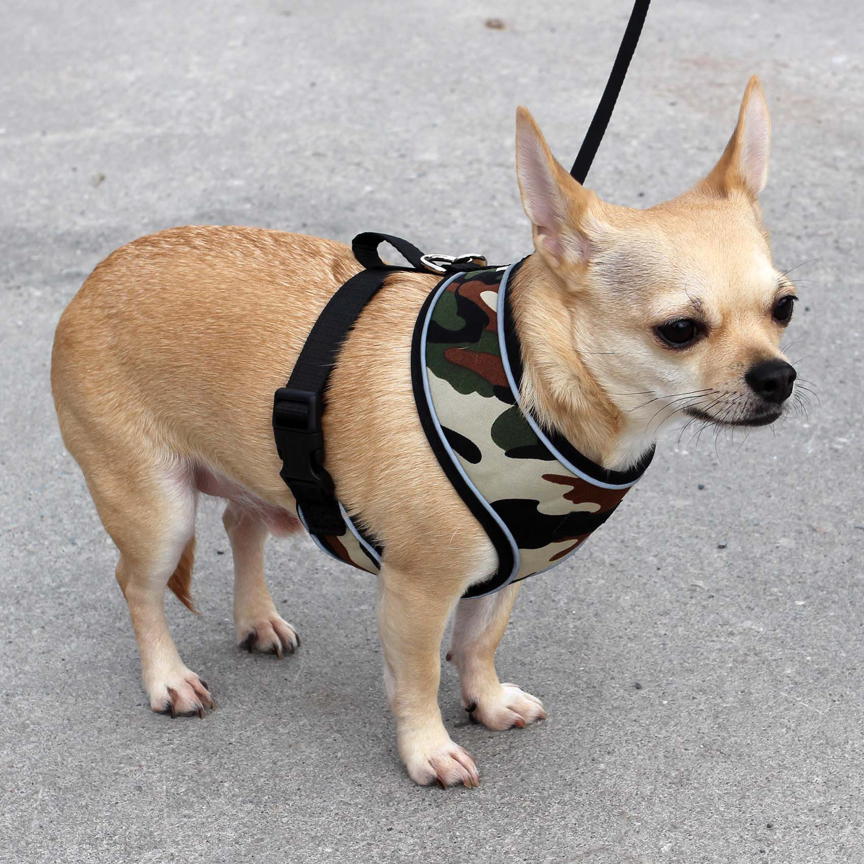 Adjustable Dog Harness - Image 7
