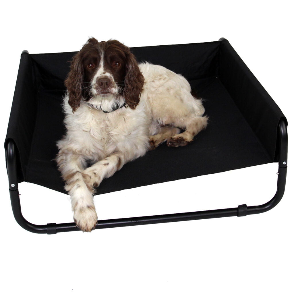 Elevated Pet Bed Raised Sides - Welcome to Actiaspet